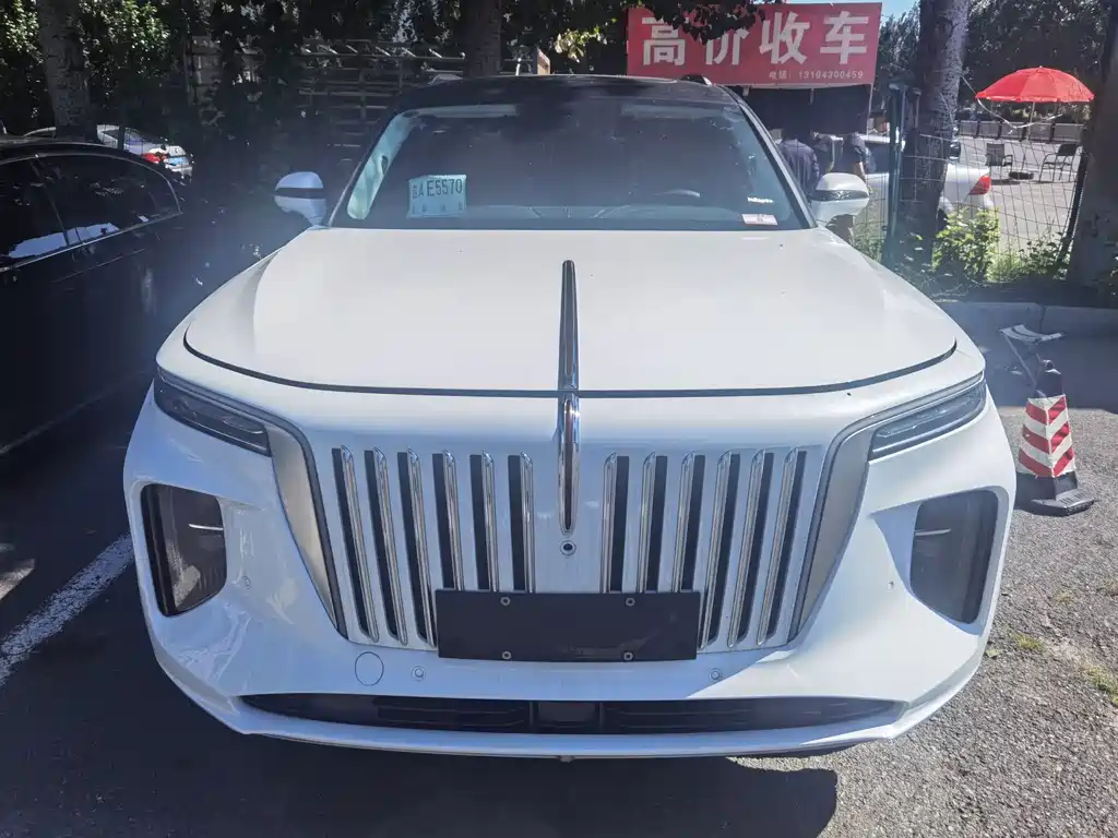 Hongqi Hongqi E-HS9 — миниатюра 2