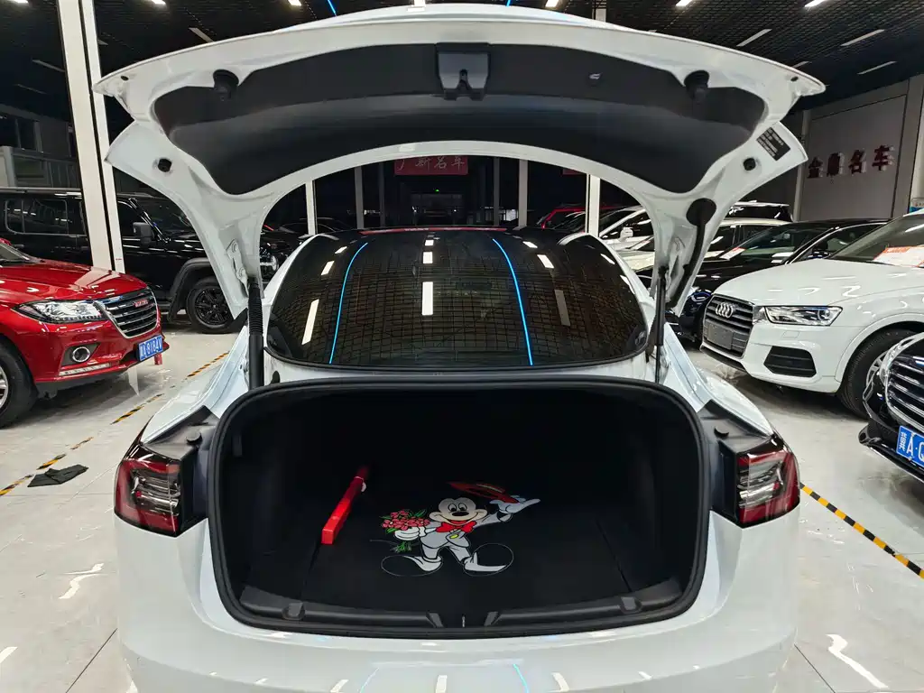 Tesla Model 3 — миниатюра 10