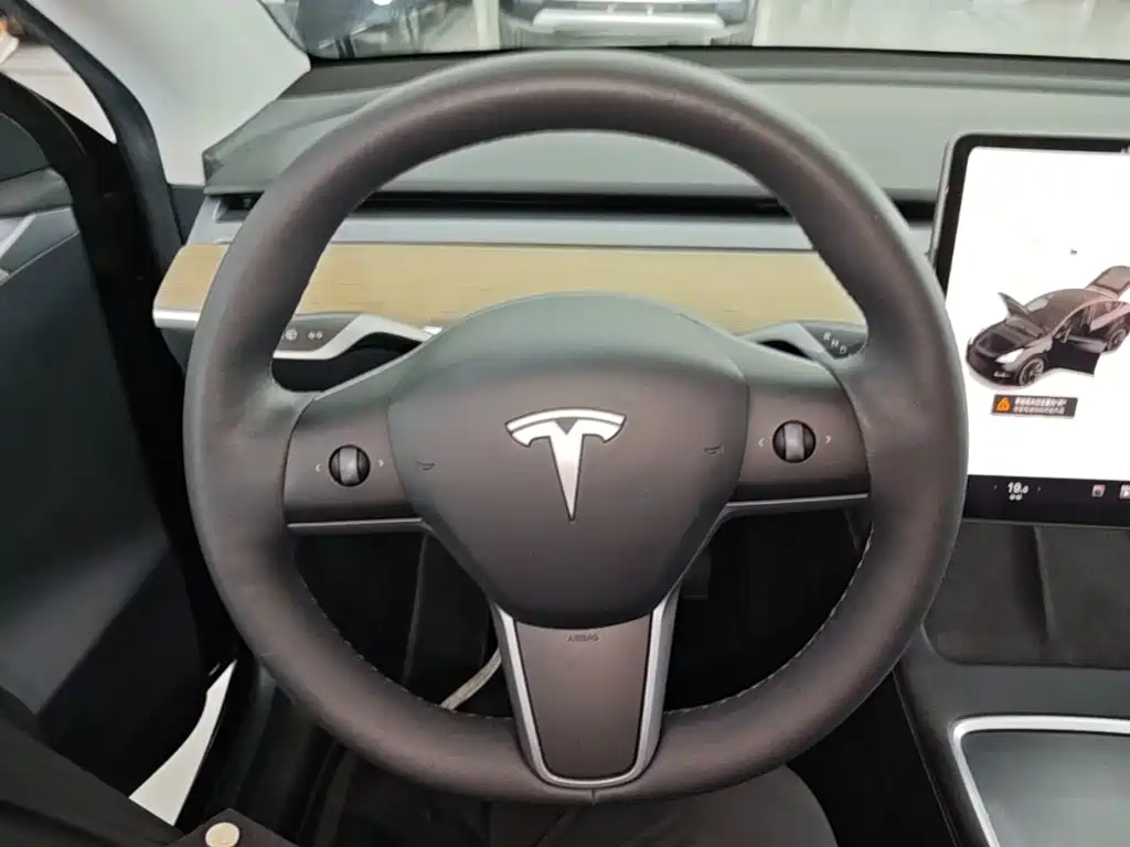 Tesla Model Y — миниатюра 11