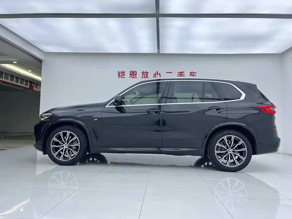 BMW X5 (Import) — миниатюра 5