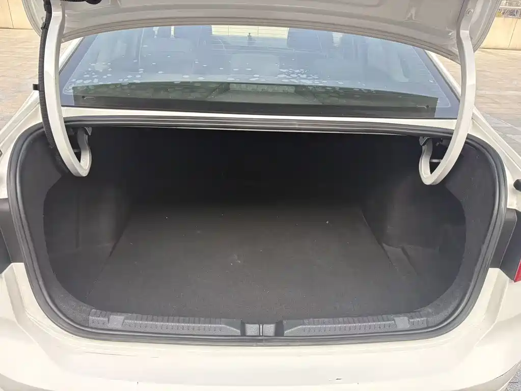 VOLKSWAGEN LAVIDA PURE ELECTRIC