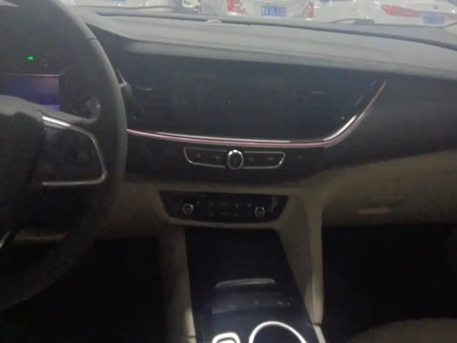 Buick Regal — миниатюра 13