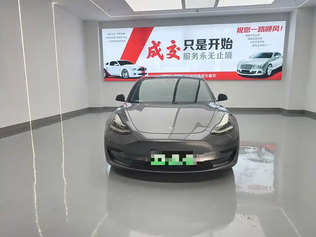 Tesla Model 3 — миниатюра 2