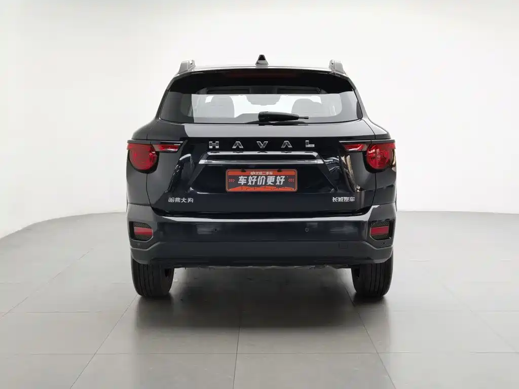 Haval Big Dog PLUS — миниатюра 4