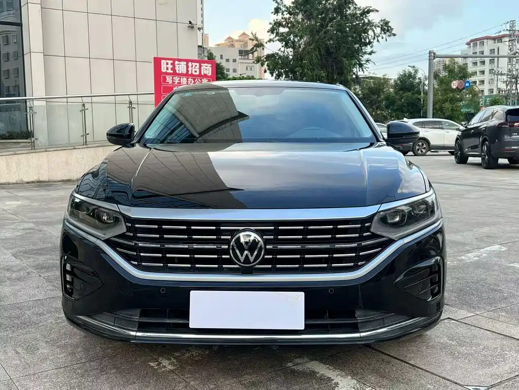 Volkswagen Passat — миниатюра 2