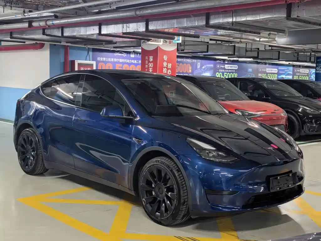 Tesla Model Y — миниатюра 3
