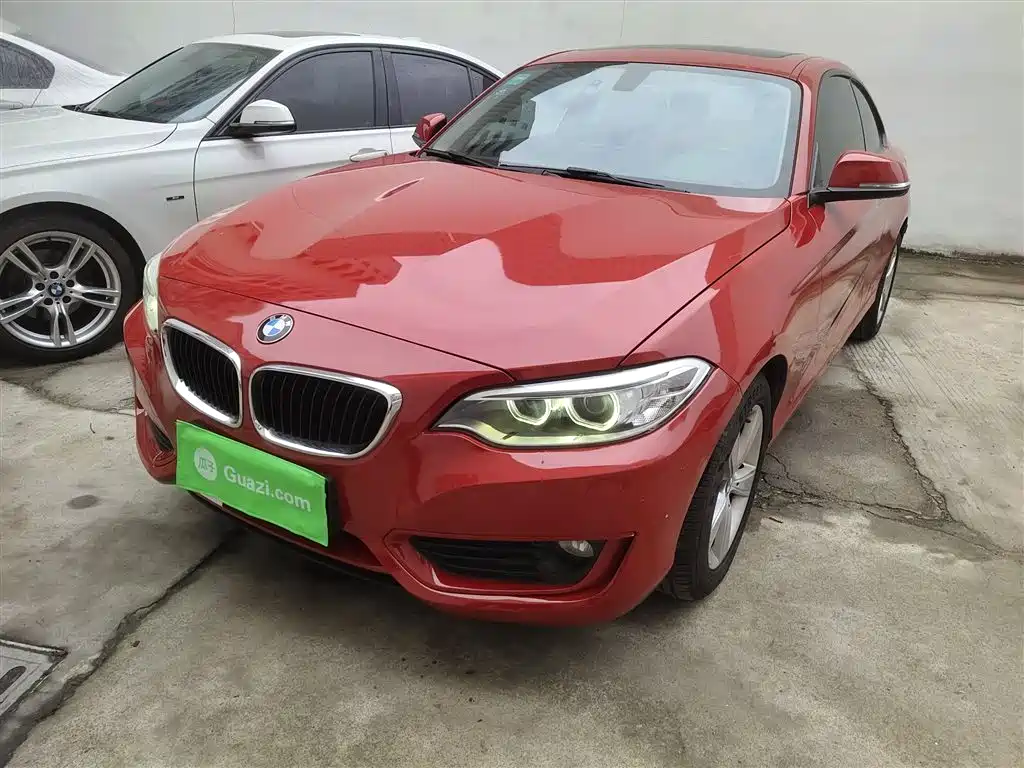 BMW 2 Series (Import) 2016