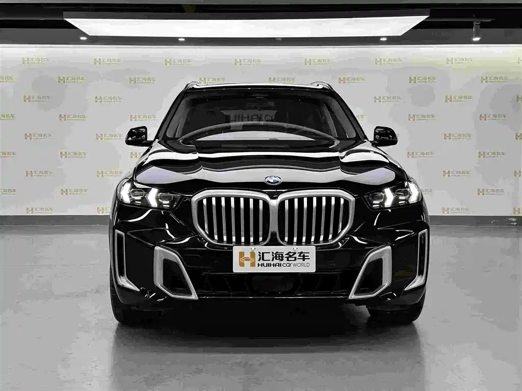 BMW X5 — миниатюра 2