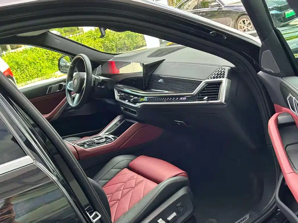 BMW X6 — миниатюра 8