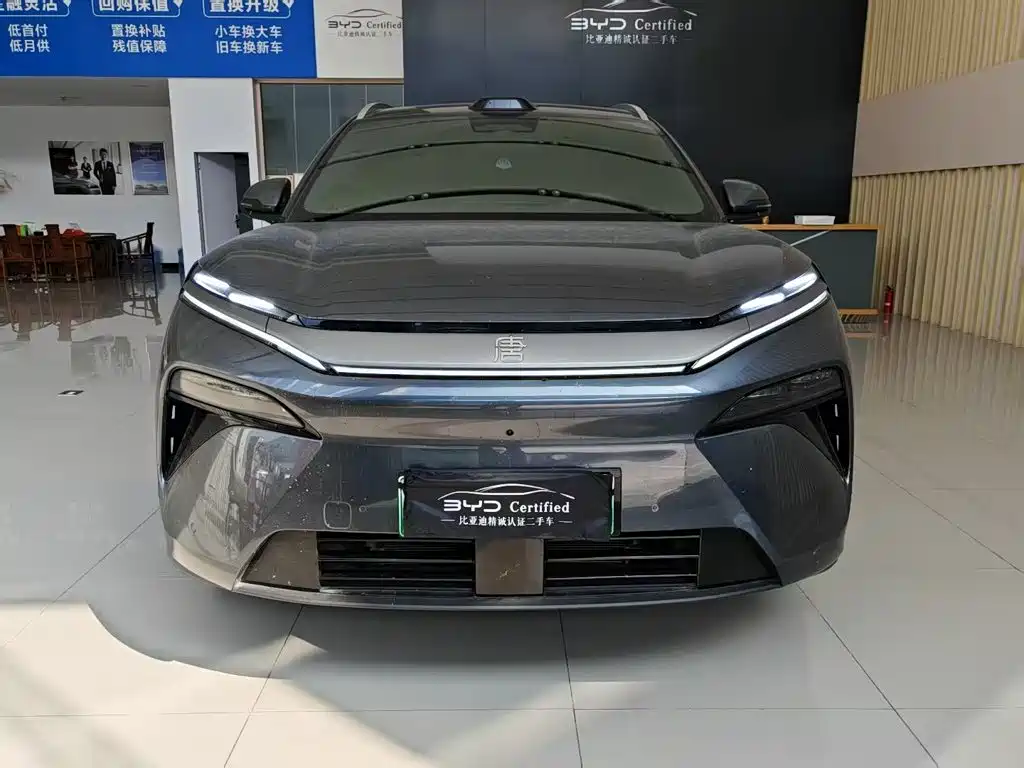 BYD Tang L — миниатюра 2