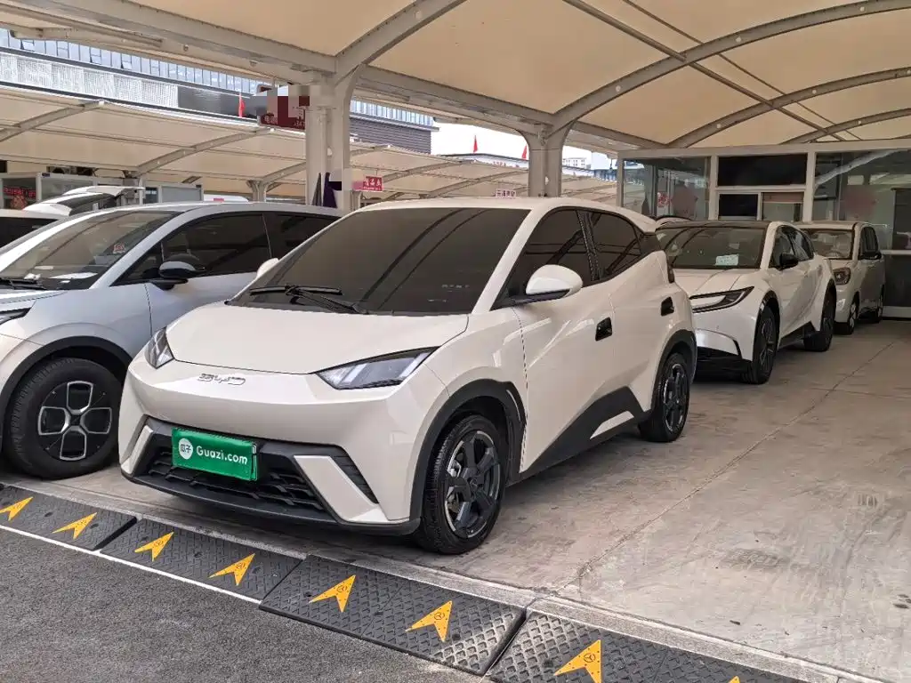BYD Seagull — миниатюра 2