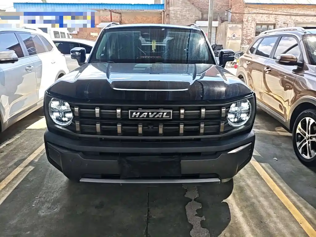 Haval Cool Dog — миниатюра 3