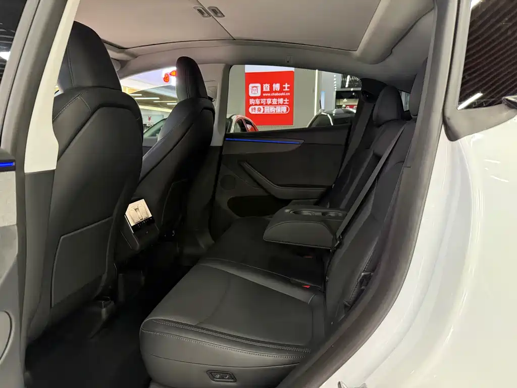 Tesla Model Y — миниатюра 7
