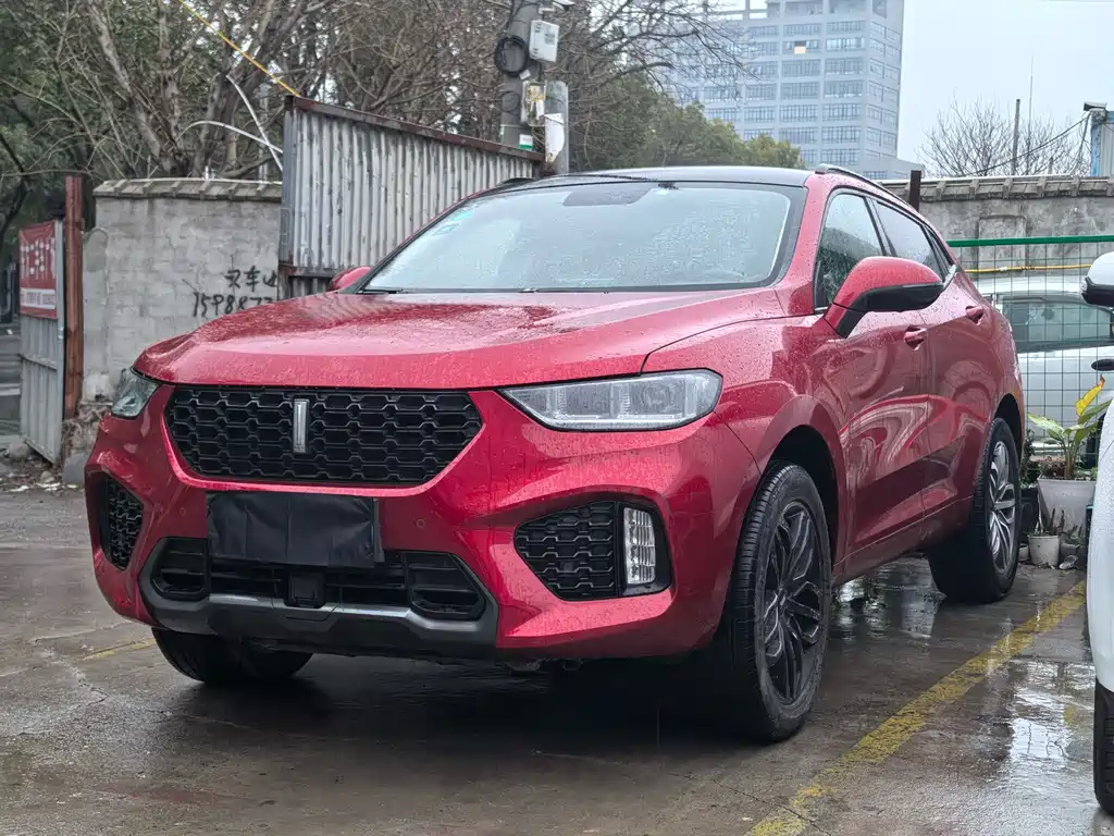 WEI PAI WEI BRAND VV5