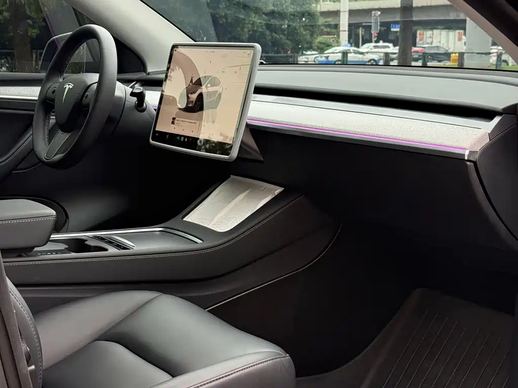 Tesla Model Y — миниатюра 10