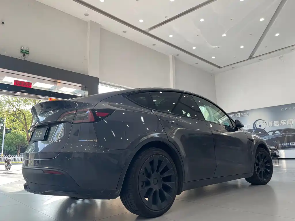 Tesla Model Y — миниатюра 6