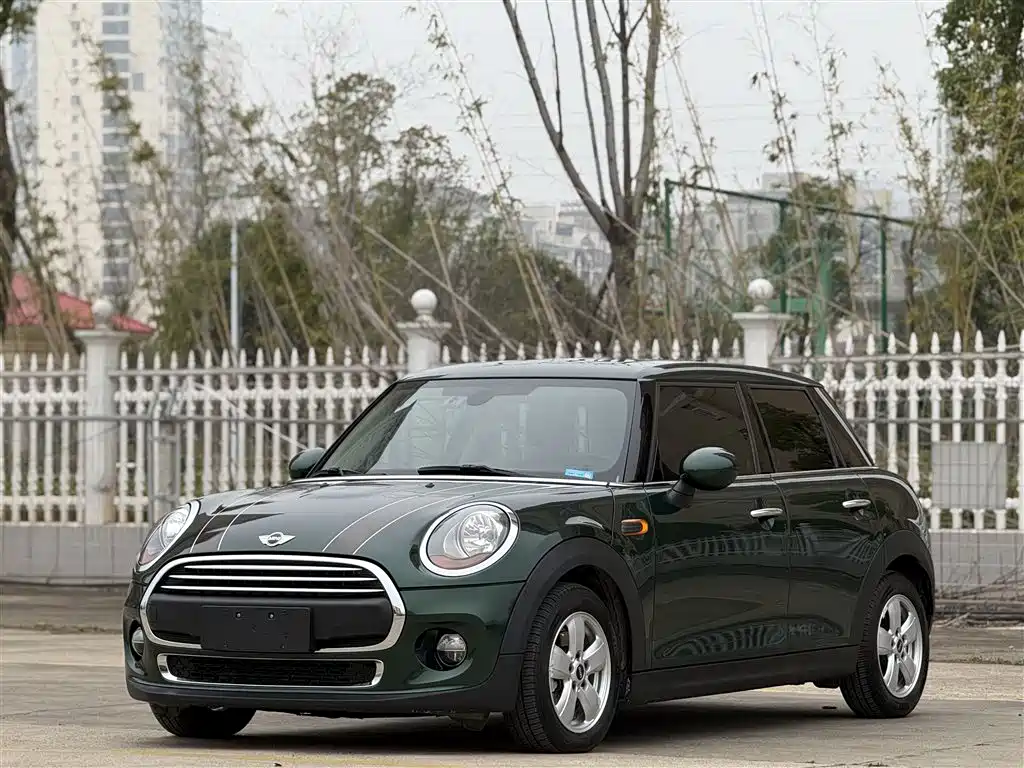 Mini Mini 2018