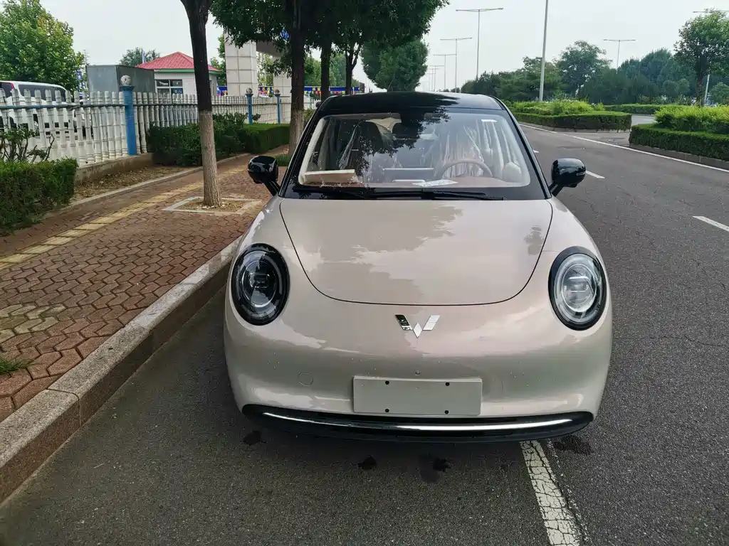 Wuling 缤果Pro — миниатюра 2