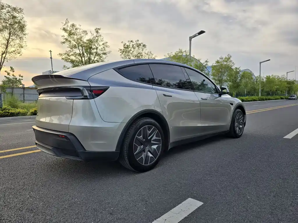 Tesla Model Y L — миниатюра 6