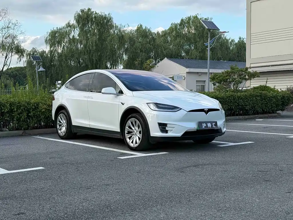 Tesla Model X — миниатюра 3