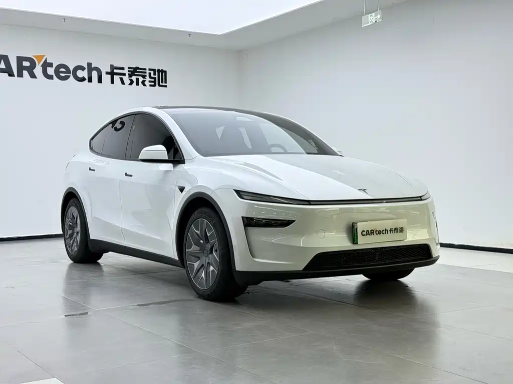 Tesla Model Y L — фотографии объявления, Фото 17