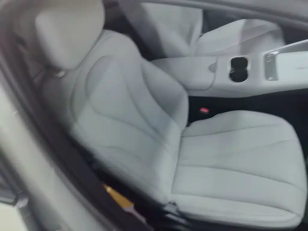 BYD Haisi 06 — миниатюра 25