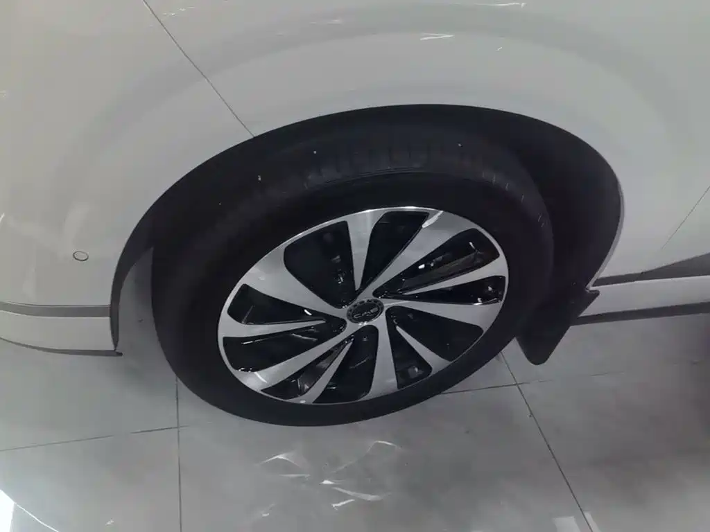 BYD Haisi 06 — миниатюра 23