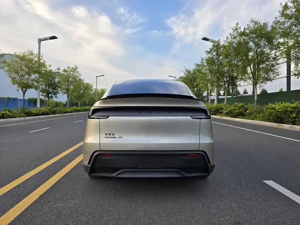 Tesla Model Y L — миниатюра 5