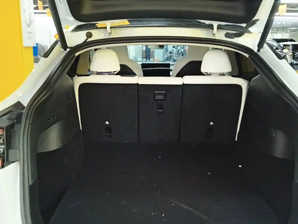 Tesla Model Y — миниатюра 19