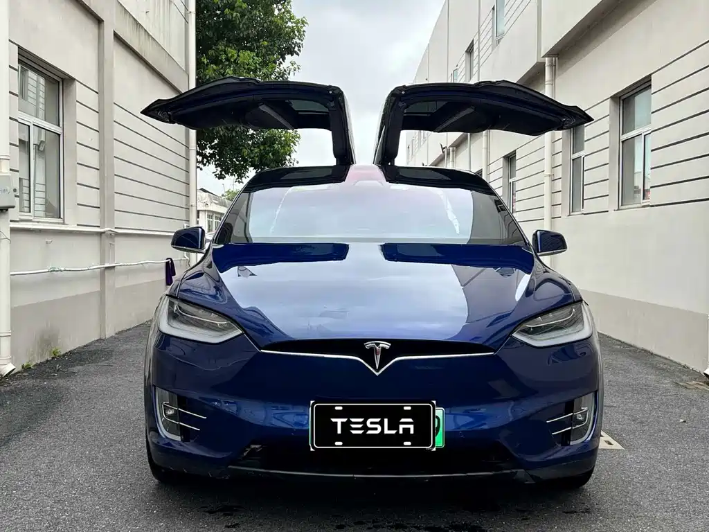 Tesla Model X — миниатюра 2