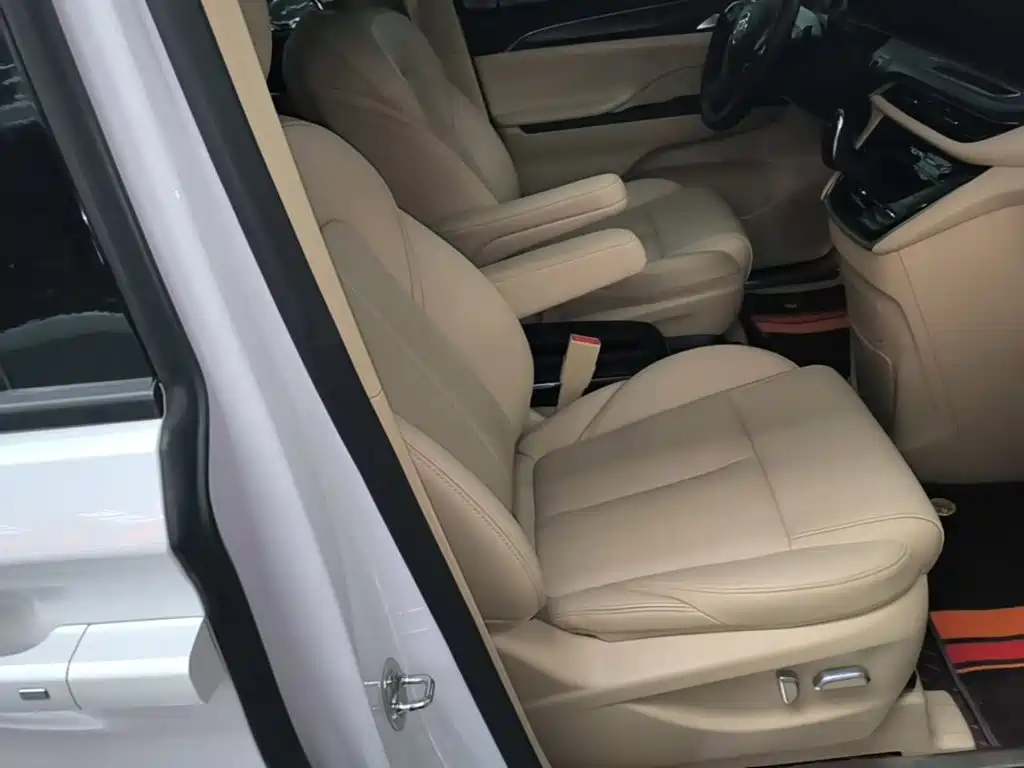 Buick GL8 — миниатюра 25