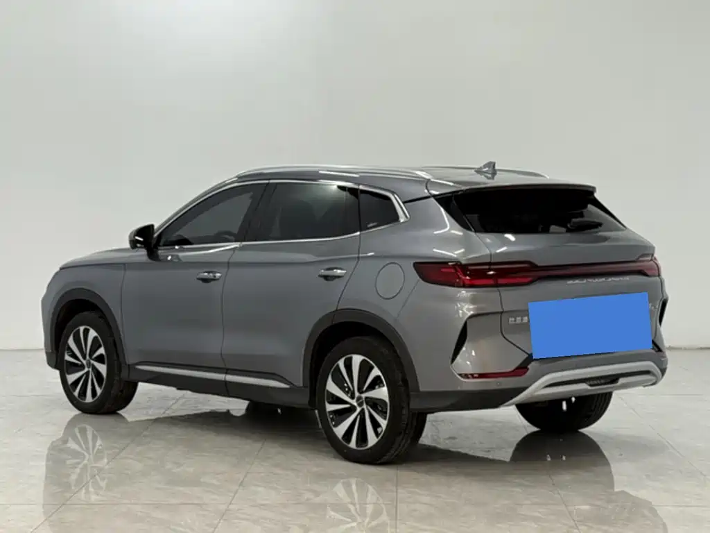 BYD SONGJIANG NEW ENERGY