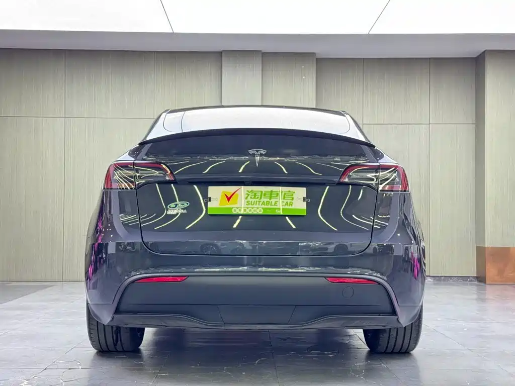 Tesla Model Y — миниатюра 5