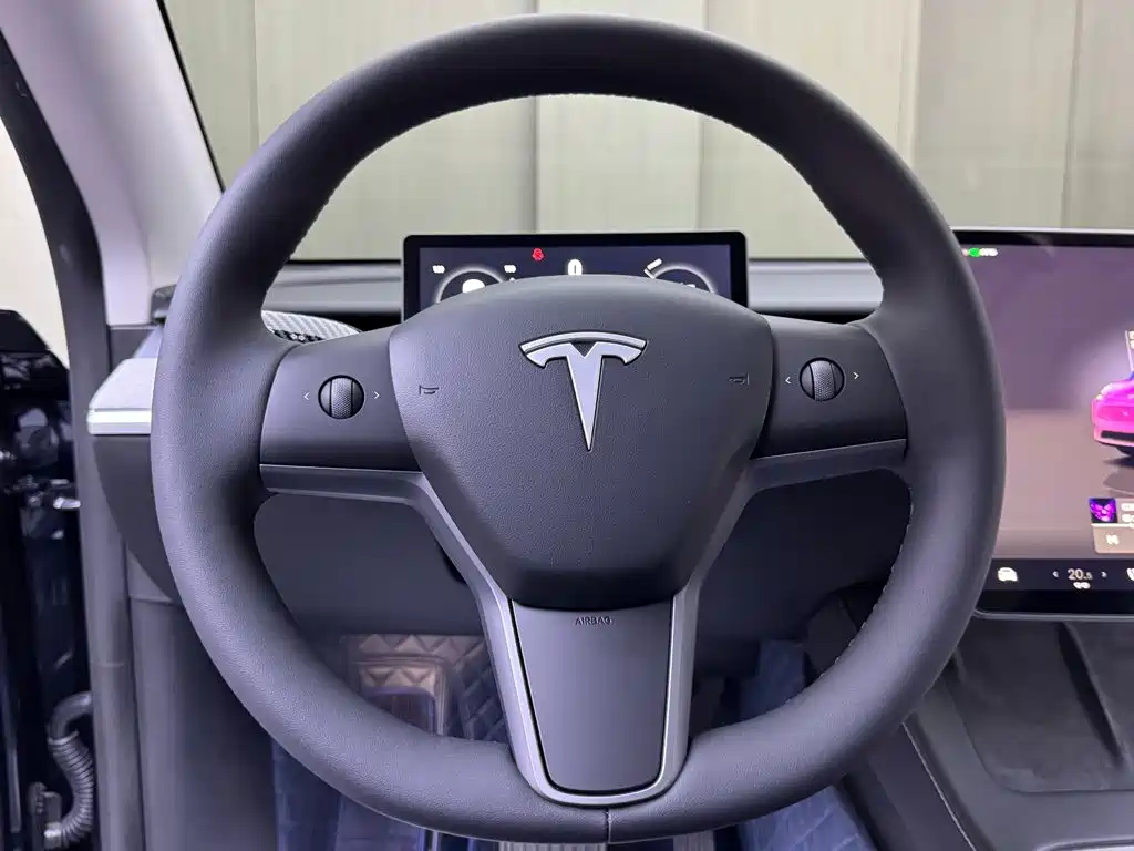 Tesla Model Y — миниатюра 11