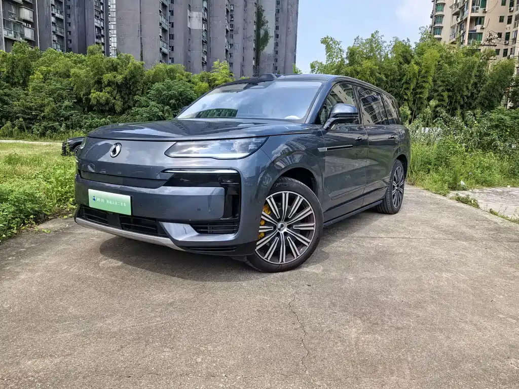Denza Туннель N9