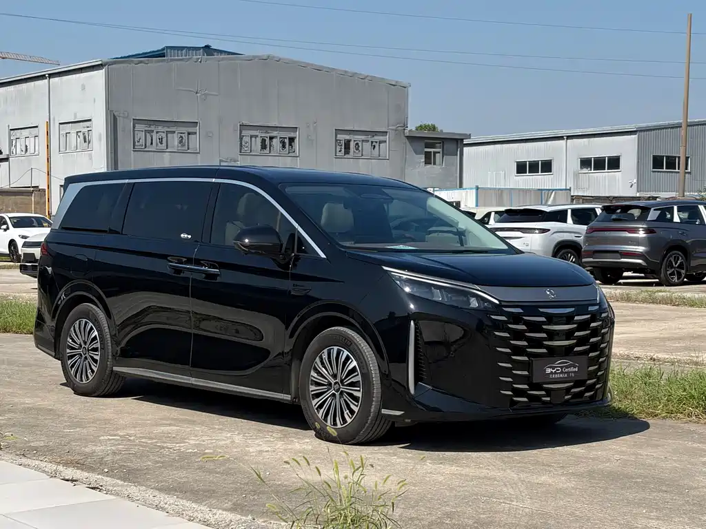 BYD Xia — миниатюра 3