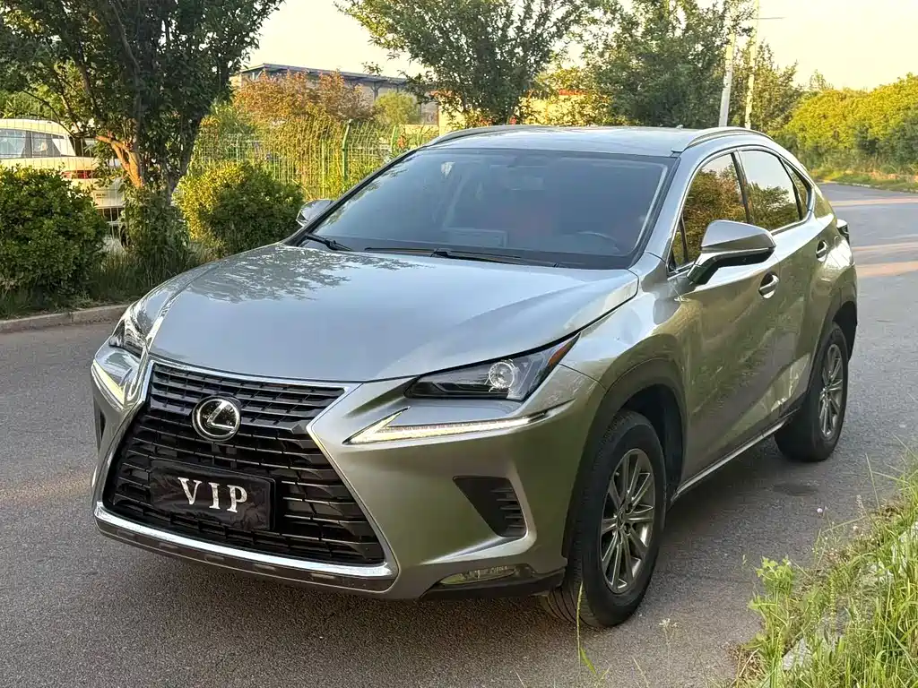 Lexus NX 2021