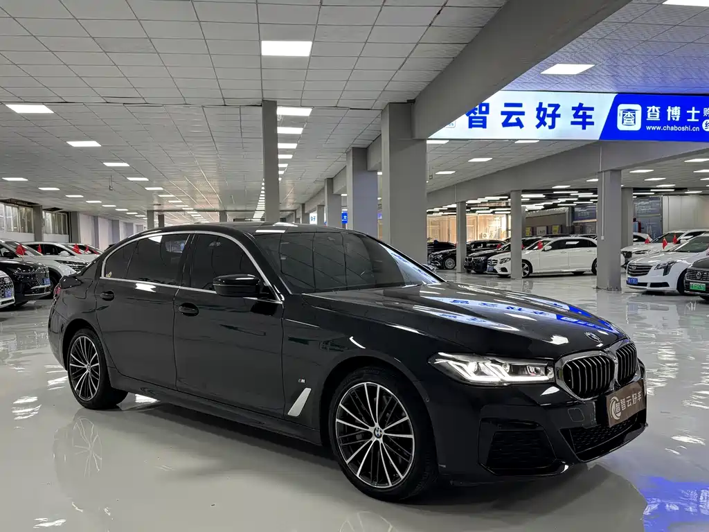 BMW 5 Series — миниатюра 3