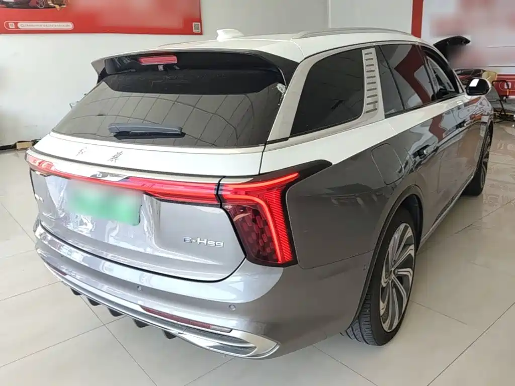 Hongqi Hongqi E-HS9 — миниатюра 7