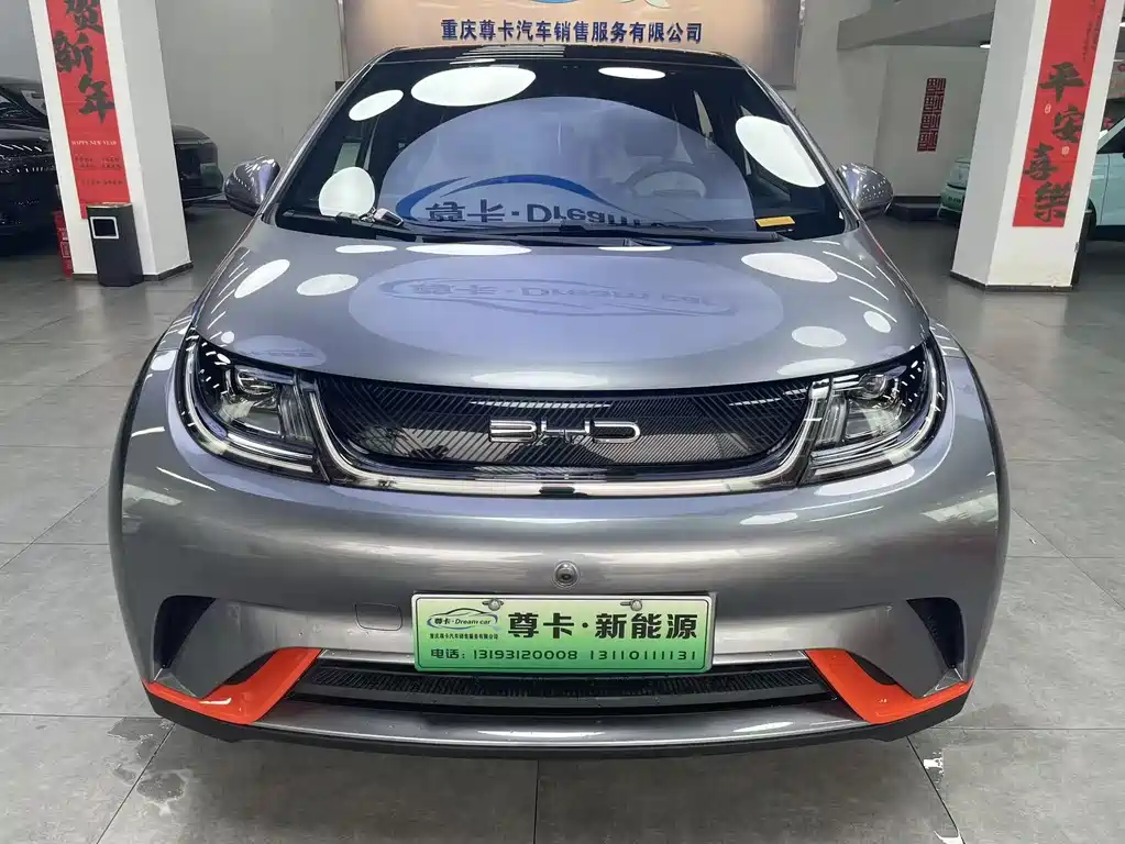 BYD DOLPHIN