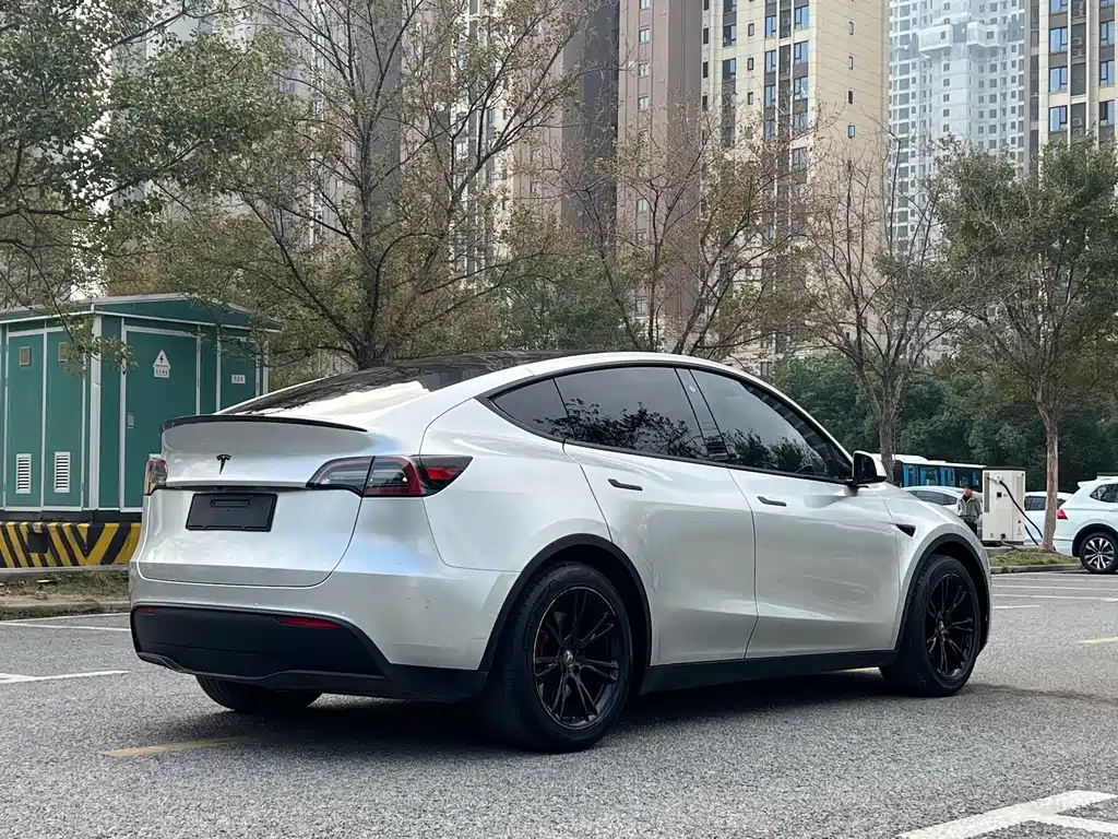 Tesla Model Y — миниатюра 4