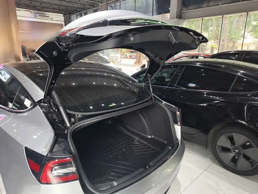 Tesla Model 3 — миниатюра 19