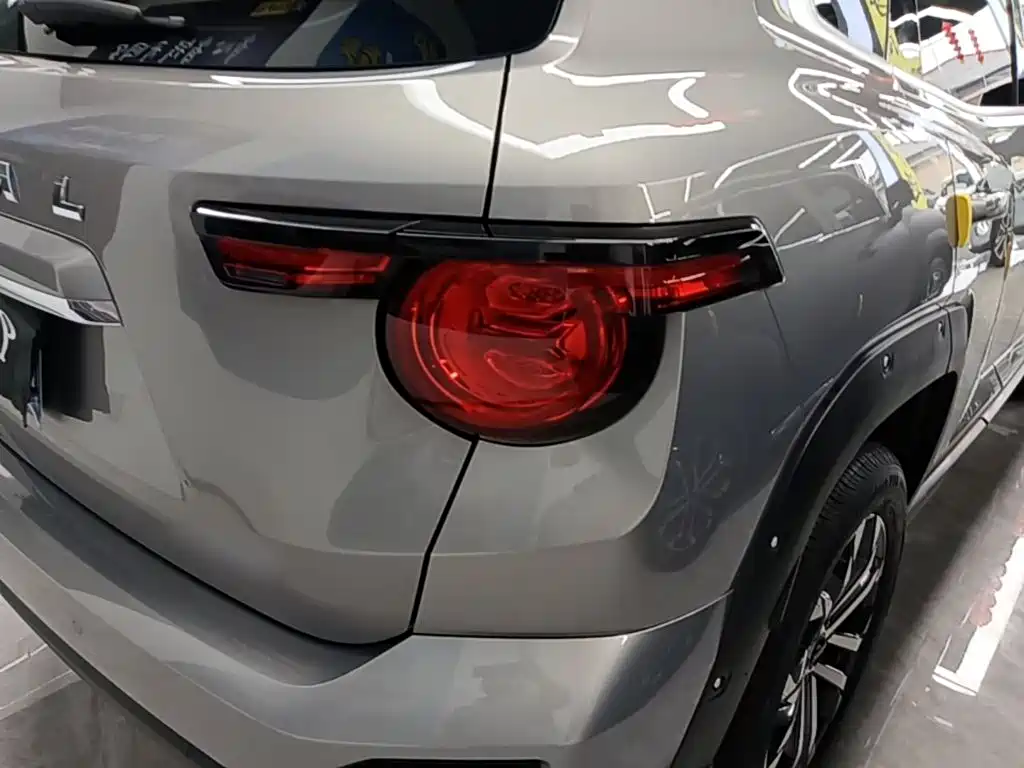 Haval Haval Big Dog PLUS — миниатюра 8