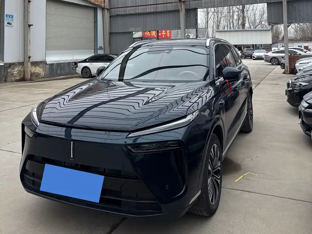 WEI PAI WEI BRAND BLUE MOUNTAIN