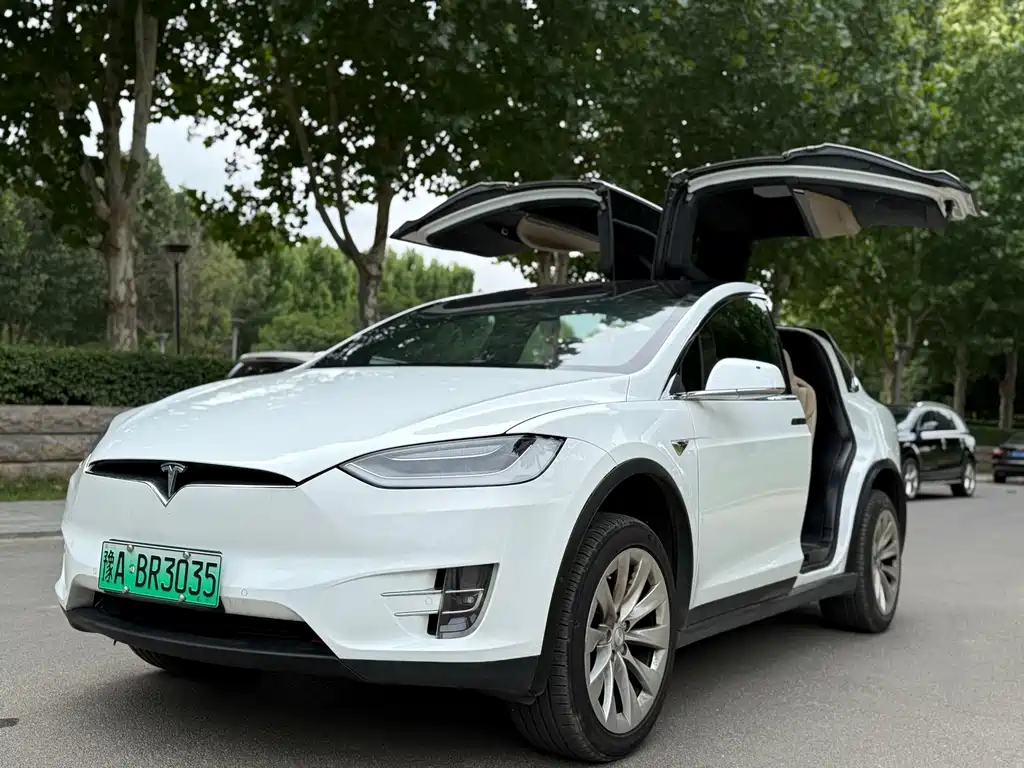 Tesla Model X — миниатюра 10