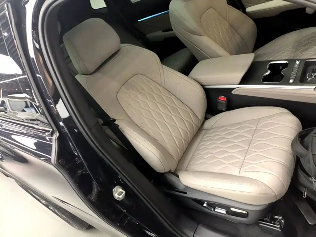 BYD Tang New Energy — миниатюра 20