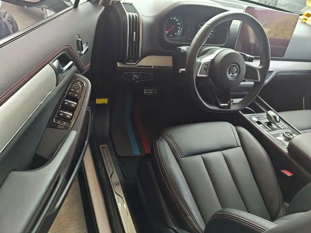 BYD Tang New Energy — миниатюра 16