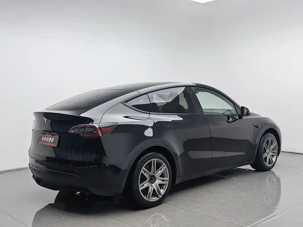 Tesla Model Y — миниатюра 2