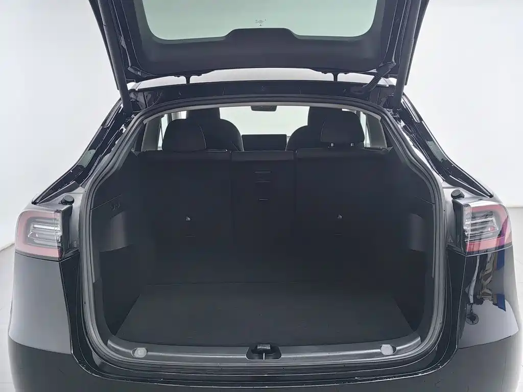 Tesla Model Y — миниатюра 16