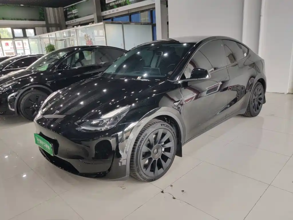 Tesla Model Y — миниатюра 2